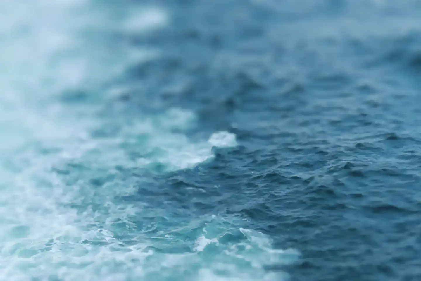 Large sea background